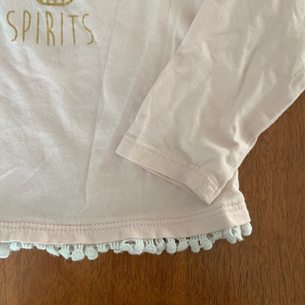 🍓3/$10 Light Pink Long Sleeve Tee with Butterfly Design size 2-4Y - Picture 3 of 6